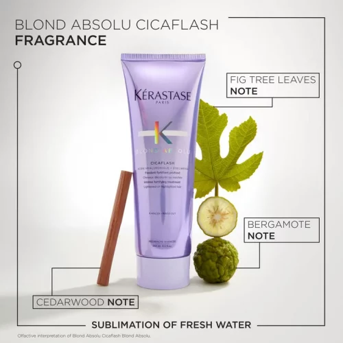 FONDANT CICAFLASH 250ML
