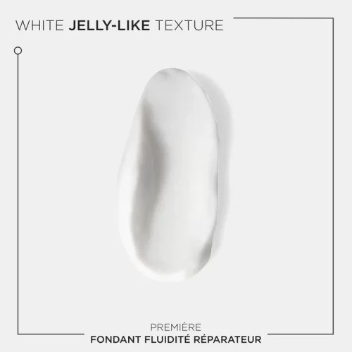 FONDANT FLUIDITE REPARATEUR