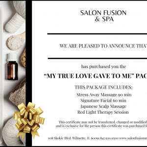 My True Love Gave To Me